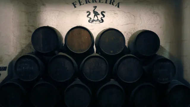 douro-aumenta-producao-de-vinho-do-porto-para-as-76-mil-pipas