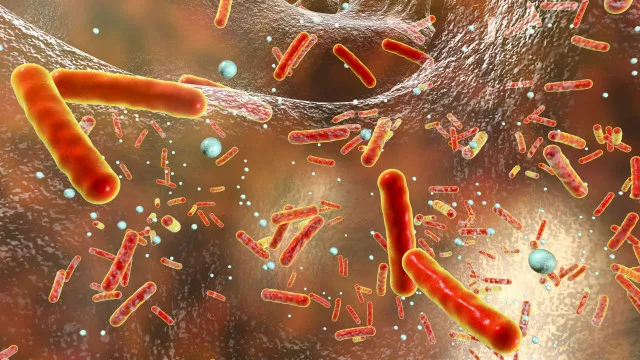 parlamento-recomenda-terapia-contra-bacterias-resistentes-em-portugal