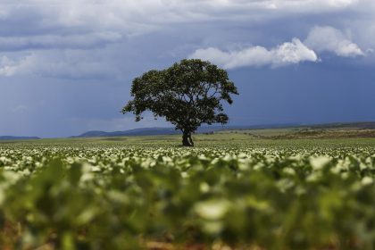 credito-rural-financiou-r$-92,4-bi-em-areas-com-alertas-ambientais