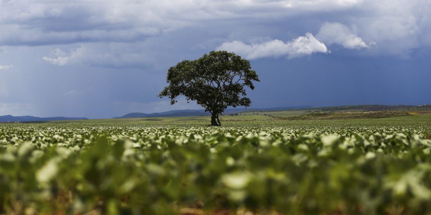 credito-rural-financiou-r$-92,4-bi-em-areas-com-alertas-ambientais