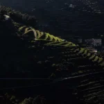 viticultores-do-douro-marcam-concentracao-para-7-de-agosto-na-regua