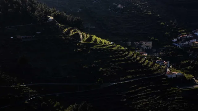 viticultores-do-douro-marcam-concentracao-para-7-de-agosto-na-regua