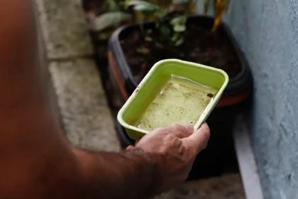 el-nino-pode-aumentar-casos-de-chikungunya-e-dengue-no-brasil