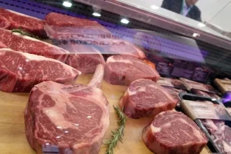 brasil-endurece-tom-contra-ue-por-exigencias-sanitarias-sobre-carne
