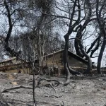 nova-frente-de-fogo-no-sul-de-franca-obriga-a-retirar-8.000-pessoas