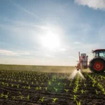 ine-revelou-uma-realidade-na-agricultura-distinta-do-governo