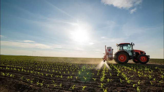 ine-revelou-uma-realidade-na-agricultura-distinta-do-governo