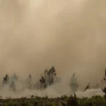 tres-homens-detidos-em-franca-por-fogo-posto-na-regiao-de-gironda