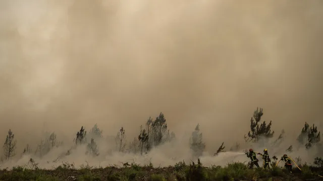 tres-homens-detidos-em-franca-por-fogo-posto-na-regiao-de-gironda