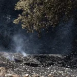 espanha-alarga-estado-de-emergencia-devido-a-incendios-a-toledo