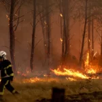 cerca-de-3-mil-portugueses-residem-na-area-do-fogo-em-franca