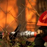 gironda-afasta-regresso-a-curto-prazo-dos-220-mil-retirados-pelos-fogos