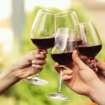produtores-obrigados-a-declarar-vinho-entre-agosto-e-setembro
