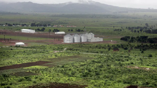angola:-agricultura-praticada-em-17,7%-dos-35-milhoes-de-hectares-araveis