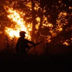controlado-incendio-em-landes-no-sudoeste-de-franca