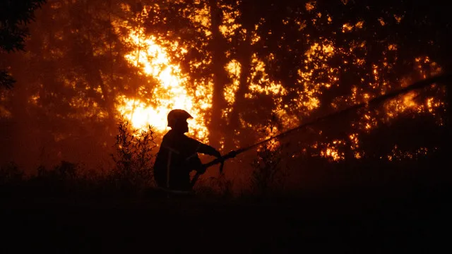 controlado-incendio-em-landes-no-sudoeste-de-franca