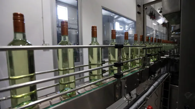 comissao-preve-mais-producao-de-vinho-e-alta-qualidade-no-alentejo