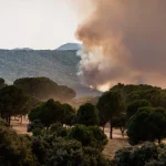 sobe-para-14-o-numero-de-mortos-no-incendio-florestal-na-andaluzia