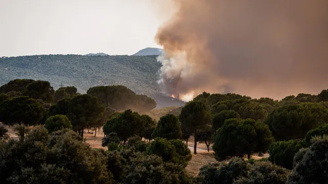 sobe-para-14-o-numero-de-mortos-no-incendio-florestal-na-andaluzia