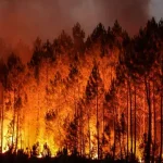 franca:-quase-200-prisoes-relacionadas-com-fogos-desde-o-inicio-do-verao