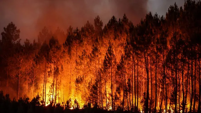 franca:-quase-200-prisoes-relacionadas-com-fogos-desde-o-inicio-do-verao