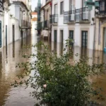seguradoras-indemnizaram-80%-dos-prejuizos-em-habitacoes-causados-pela-kristin