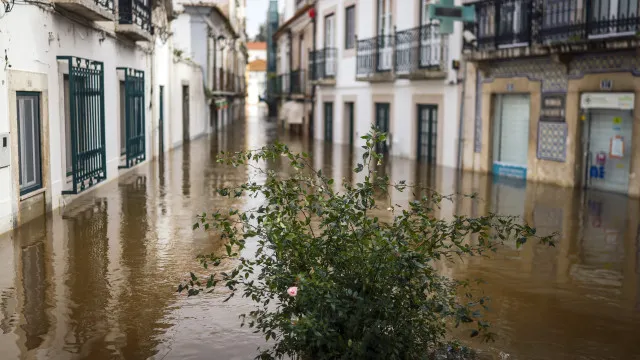 seguradoras-indemnizaram-80%-dos-prejuizos-em-habitacoes-causados-pela-kristin