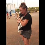 fogos-em-espanha:-julia-pode-retirar-cadela,-mas-gata-nao.-o-reencontro