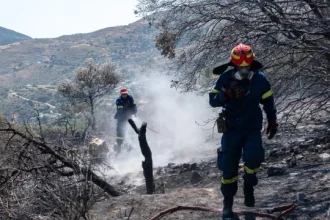 dois-bombeiros-morrem-a-combater-fogo-na-ilha-grega-de-creta