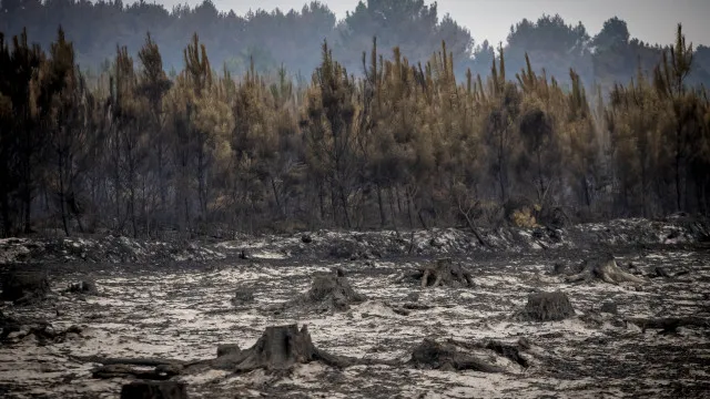 o-grande-fogo-de-bordeus-nao-progrediu-hoje-e-autoridades-estao-otimistas