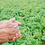 cna-pede-reforco-dos-pagamentos-e-aproveitamento-da-reserva-agricola