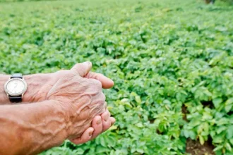 cna-pede-reforco-dos-pagamentos-e-aproveitamento-da-reserva-agricola