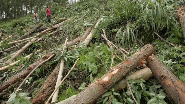 mundo-entra-hoje-em-divida-ecologica-ao-esgotar-recursos-anuais-do-planeta