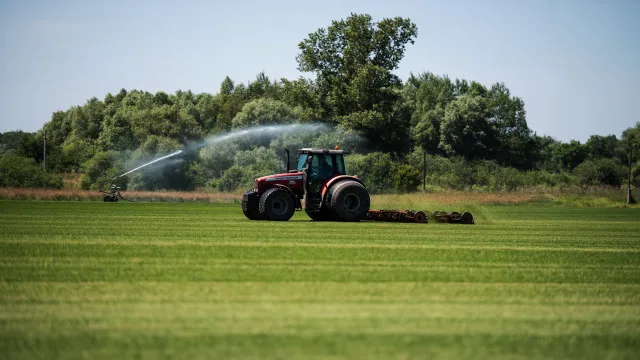 aumento-dos-custos?-ministerio-da-agricultura-apoia-madeira-e-acores