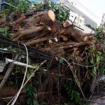 ventania-em-sp,-rs-e-rj-expoe-falhas-na-resposta-a-extremos-climaticos