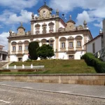 produtores-de-vinho-e-azeite-em-mirandela-com-grandes-prejuizos