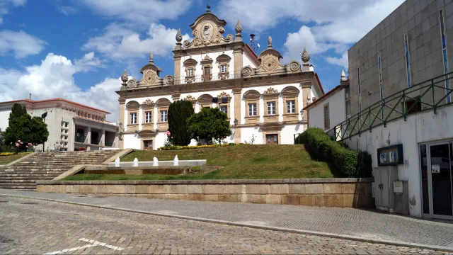 produtores-de-vinho-e-azeite-em-mirandela-com-grandes-prejuizos