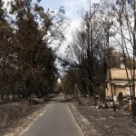 franca-diz-que-fogos-estao-“sob-controlo”-e-prepara-reconstrucao