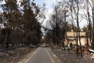 franca-diz-que-fogos-estao-“sob-controlo”-e-prepara-reconstrucao