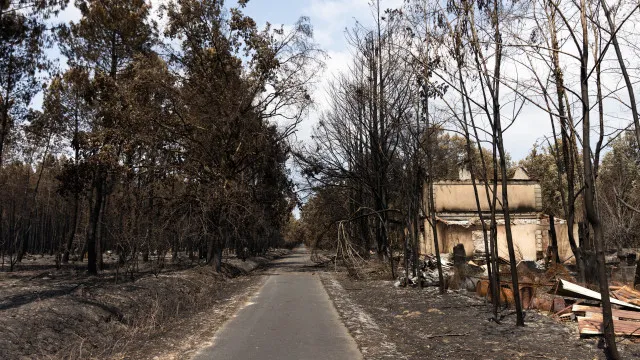 franca-diz-que-fogos-estao-“sob-controlo”-e-prepara-reconstrucao