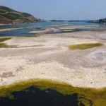 nivel-das-aguas-do-rio-reno-bate-recorde-minimo-na-alemanha