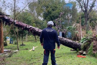 sul,-sudeste-e-centro-oeste-tem-alerta-para-tempestades-e-vendavais