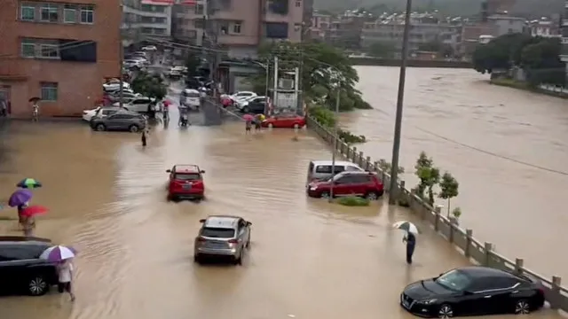 provincia-de-zhejiang-retira-mais-de-10.000-pessoas-devido-a-dolphin