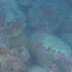 navio-naufragado-da-epoca-romana-descoberto-em-italia