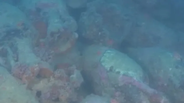 navio-naufragado-da-epoca-romana-descoberto-em-italia