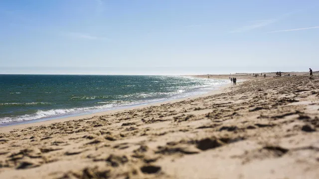 temperatura-media-da-superficie-do-mar-atinge-novo-recorde-em-julho