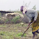 populares-queixam-se-de-saques-em-campos-agricolas-em-montepuez