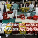 brasil:-plano-para-abrir-mercado-a-empresas-afetadas-por-tarifas-de-trump