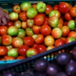 exportacoes-de-frutas,-legumes-e-flores-caem-3,5%-ate-junho