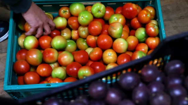 exportacoes-de-frutas,-legumes-e-flores-caem-3,5%-ate-junho